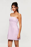 Blanche Straplez Mini Pembe Elbise
