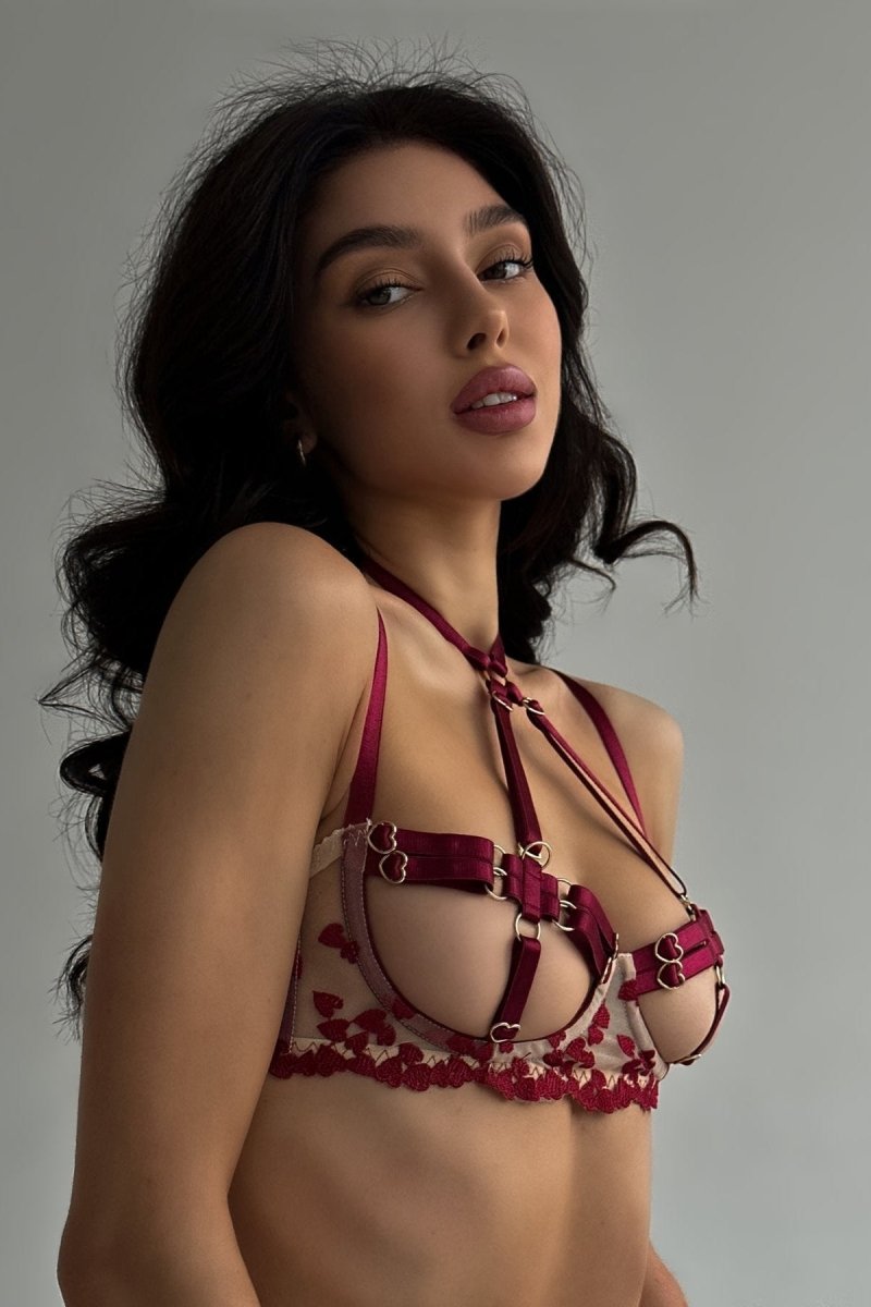 Sueña™ 4 Parça Lingerie Takımı + Bacak Halkaları / AURORA